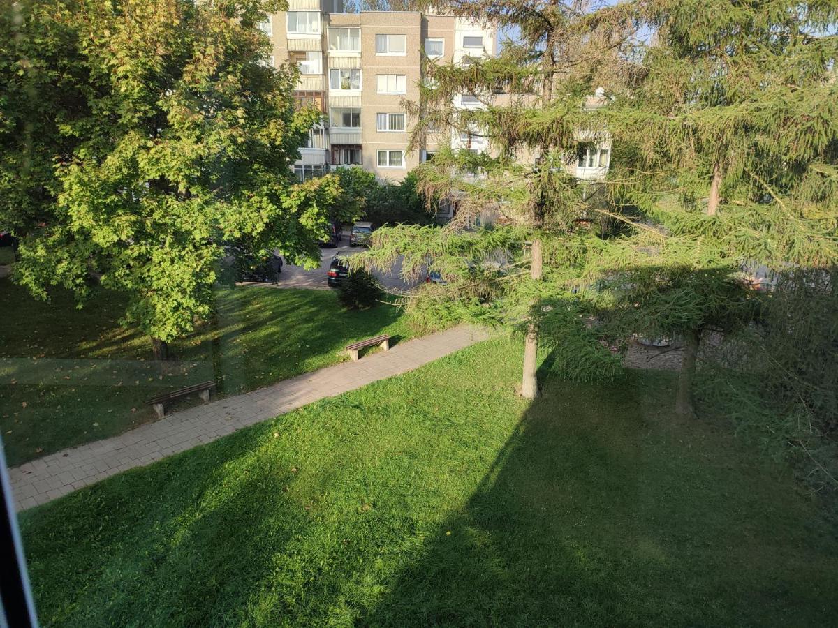 Shortstoppasilaiciai VNO Exterior photo